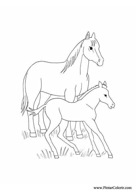 Mais de 100 desenhos de cavalos para colorir!